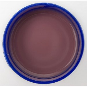 Touch liquid poligel 10, 15ml Touch liquid poligel 10, 15ml