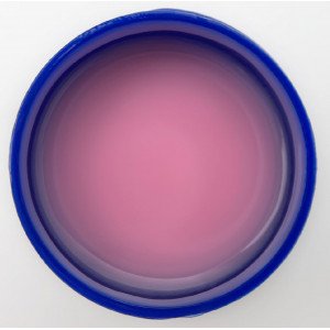 Touch liquid poligel 04, 15ml Touch liquid poligel 04, 15ml