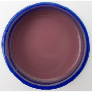Touch liquid poligel 09, 15ml